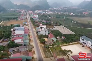 Thuận Châu nỗ lực xây dựng nông thôn mới