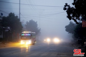 Cẩn trọng khi tham gia giao thông trong thời tiết sương mù