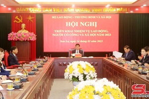 Triển khai nhiệm vụ lao động, người có công và xã hội năm 2023
