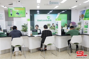 Nỗ lực kinh doanh, tích cực tham gia các hoạt động xã hội