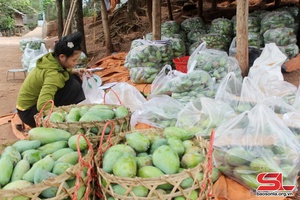 Chi bộ bản Mệt Sai lãnh đạo nhân dân phát triển kinh tế