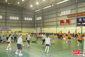 Hoạt động chào mừng Ngày thành lập Đoàn TNCS Hồ Chí Minh