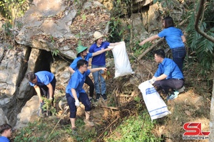 Đoàn Sở Tài nguyên và Môi trường ra quân bảo vệ môi trường đầu nguồn nước