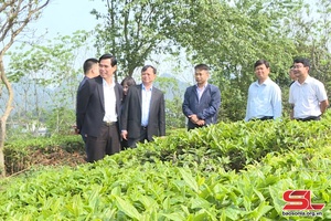 Đoàn công tác tỉnh Đồng Nai trao đổi kinh nghiệm sản xuất nông nghiệp, du lịch tại tỉnh Sơn La