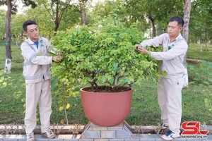 Ổn định việc làm, đời sống người lao động