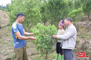 Làm giàu từ mô hình kinh tế tổng hợp