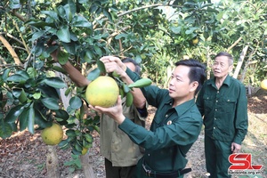 Phát huy phẩm chất Bộ đội Cụ Hồ