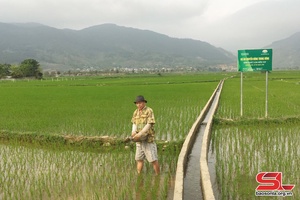 Quang Huy thực hiện các khâu đột phá