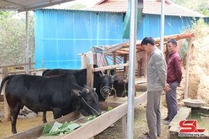 Đào tạo nghề cho lao động nông thôn