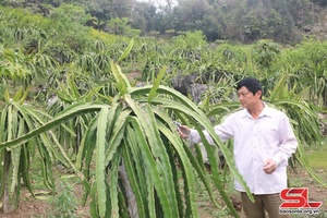 “Muốn bà con tin, mình phải làm trước”