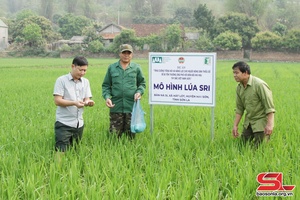 Chuyển giao khoa học kỹ thuật cho nông dân