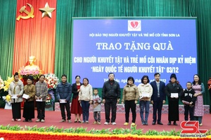 Vai trò, năng lực hoạt động của các tổ chức hội