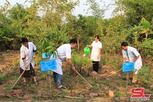 Mường La thực hiện tiêu chí y tế