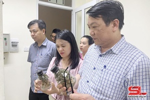Học viện Nông nghiệp Việt Nam làm việc với Sở Khoa học và Công nghệ tỉnh Sơn La