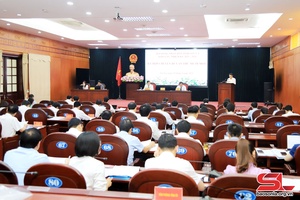 Kỳ họp chuyên đề lần thứ mười một, HĐND tỉnh khóa XV