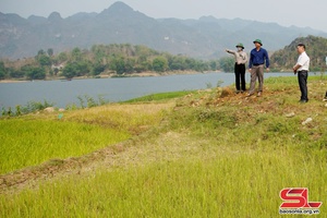 Chủ động phương án phòng, chống hạn hán cho cây trồng
