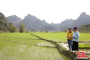 Hướng mạnh về cơ sở, đồng hành cùng nông dân