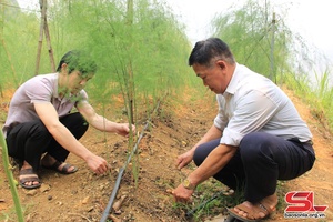 Phát huy vai trò của đảng viên trong phát triển kinh tế