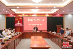 Hội nghị trực tuyến về Đề án Tiêu chí xác định thôn tập trung đông đồng bào dân tộc thiểu số