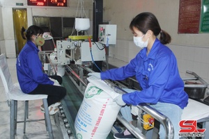 Nhiều hoạt động trong Tháng Công nhân 2023