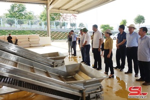 Dự kiến khánh thành Trung tâm chế biến rau, quả Doveco Sơn La vào ngày 19/5