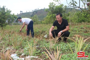 Hướng đến mục tiêu phục vụ sức khỏe người tiêu dùng