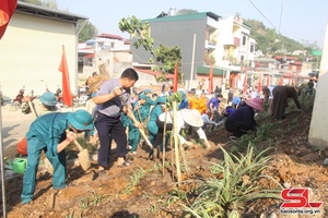 Xây dựng tuyến đường hoa 