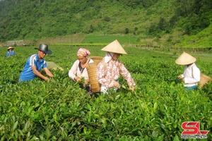 Ngàn hoa dâng Bác kính yêu