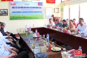 Thứ trưởng Bộ Nông nghiệp Cu Ba thăm mô hình nuôi bò sữa tại Mộc Châu