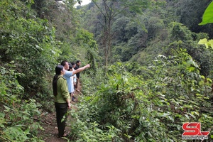  Thêm động lực để nhân dân giữ và phát triển rừng