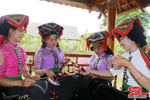 Hỗ trợ phụ nữ tham gia giải quyết một số vấn đề xã hội 