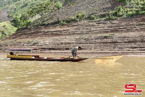 Sông Đà mùa cá nến