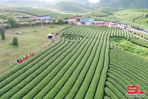 Mộc Châu - Điểm đến thiên nhiên hàng đầu thế giới • Kỳ 1:  “Viên ngọc” đang tỏa sáng