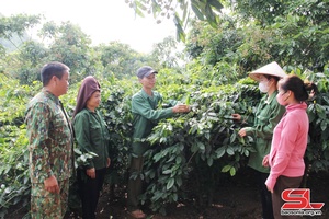 Vai trò tiên phong, gương mẫu của cán bộ, đảng viên trong phát triển kinh tế