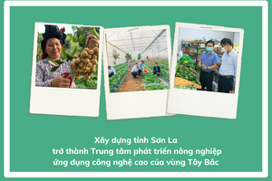 Xây dựng tỉnh Sơn La trở thành Trung tâm phát triển nông nghiệp ứng dụng công nghệ cao vùng Tây Bắc
