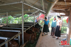 Hỗ trợ hội viên nhân rộng mô hình kinh tế