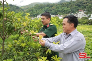 Bám địa bàn, làm tốt công tác dân vận