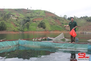 Cựu chiến binh Quỳnh Nhai thi đua phát triển kinh tế