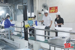 Đảm bảo ATVSLĐ, nâng cao chất lượng môi trường làm việc