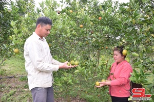 Nâng cao chất lượng đời sống cho nhân dân