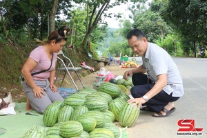 Cây trồng mới ở bản Liên Minh