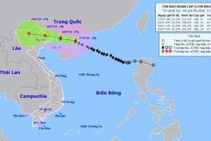 Trực cấp cứu 24/24, sẵn sàng cấp cứu nạn nhân do mưa, bão