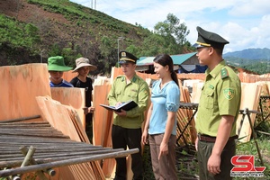 Sốp Cộp tăng cường quản lý hoạt động chế biến gỗ