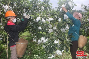 Yên Châu xây dựng nhiều mô hình “Dân vận khéo”