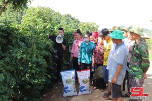 Đánh giá mô hình sử dụng phân bón Sông Lam Tây Bắc cho cây cà phê