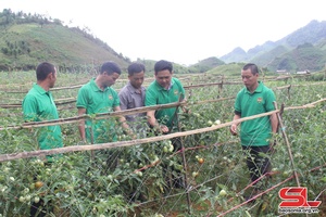 Đoàn kết, giúp nhau phát triển kinh tế