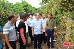 Tham quan các mô hình phát triển kinh tế tiêu biểu tại huyện Mai Sơn