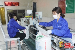 Xứng đáng là chỗ dựa tin cậy của đoàn viên, người lao động