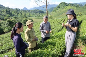 Đồng hành cùng nông dân phát triển kinh tế