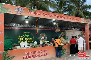 Sơn La tham gia Lễ hội tận hưởng mùa hè Đà Nẵng 2023 - Wow Đà Nẵng